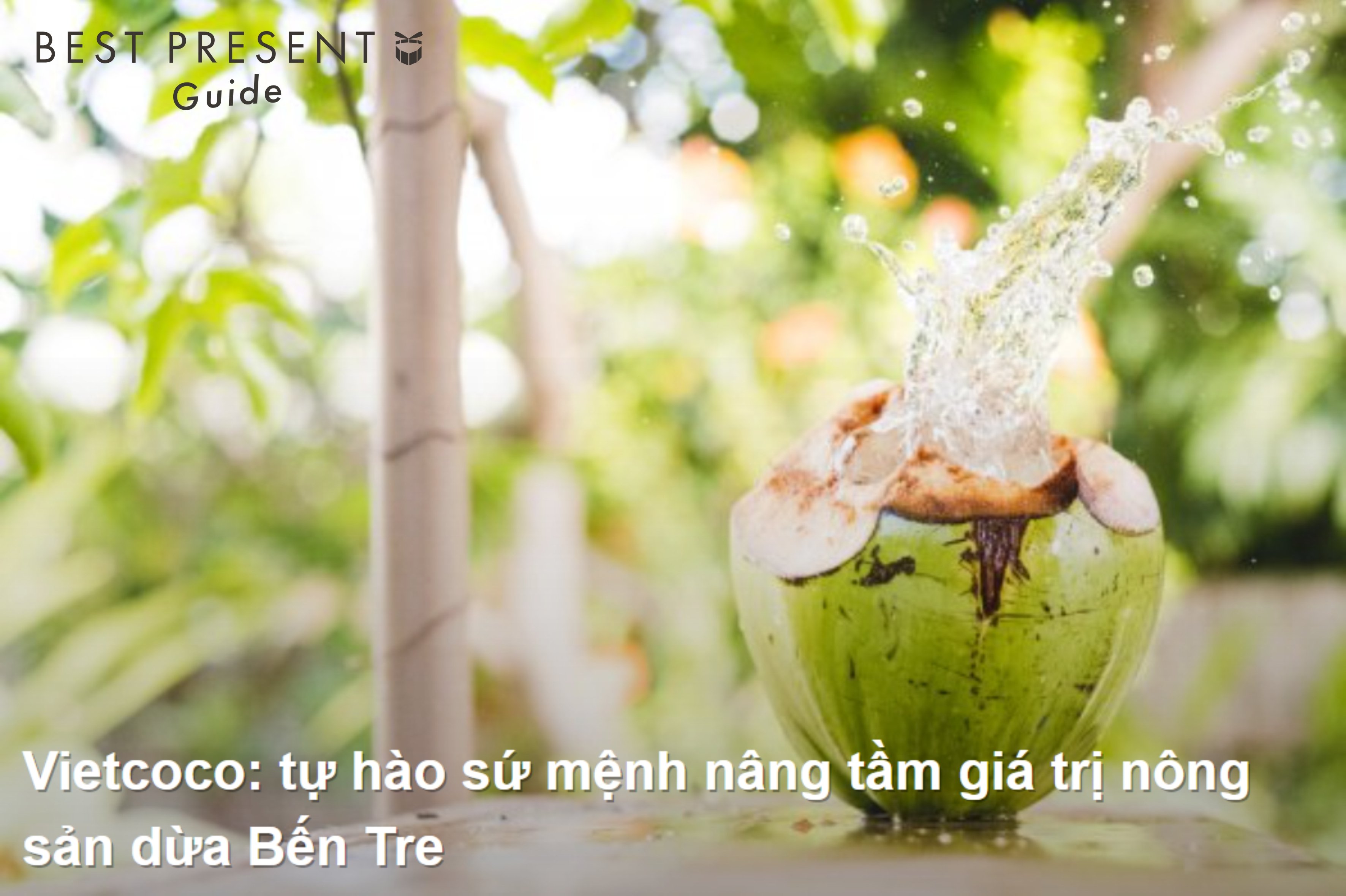 Vietcoco từ góc nhìn của BP Guide Việt Nam (Best Present)